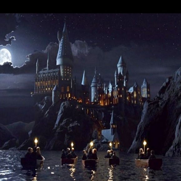 Meet your Posher, Skylar - Picture 1 of 1